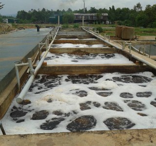 Xử lý nước thải trang trại - Công Ty TNHH Hiệp Hưng Khánh Hòa